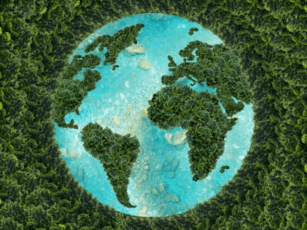 illustration de notre planète terre avec les continents couverts de forêts